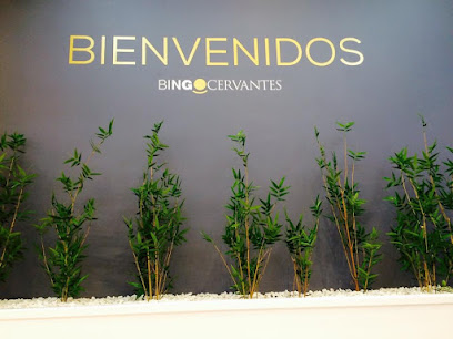 Bingo Cervantes, Lugones